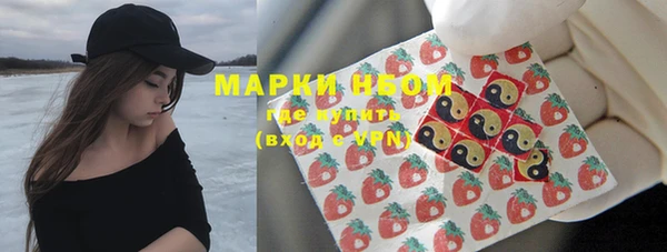 бошки Снежногорск