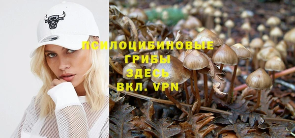 спайс Белоозёрский