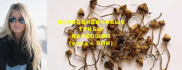 гидропоника Слюдянка